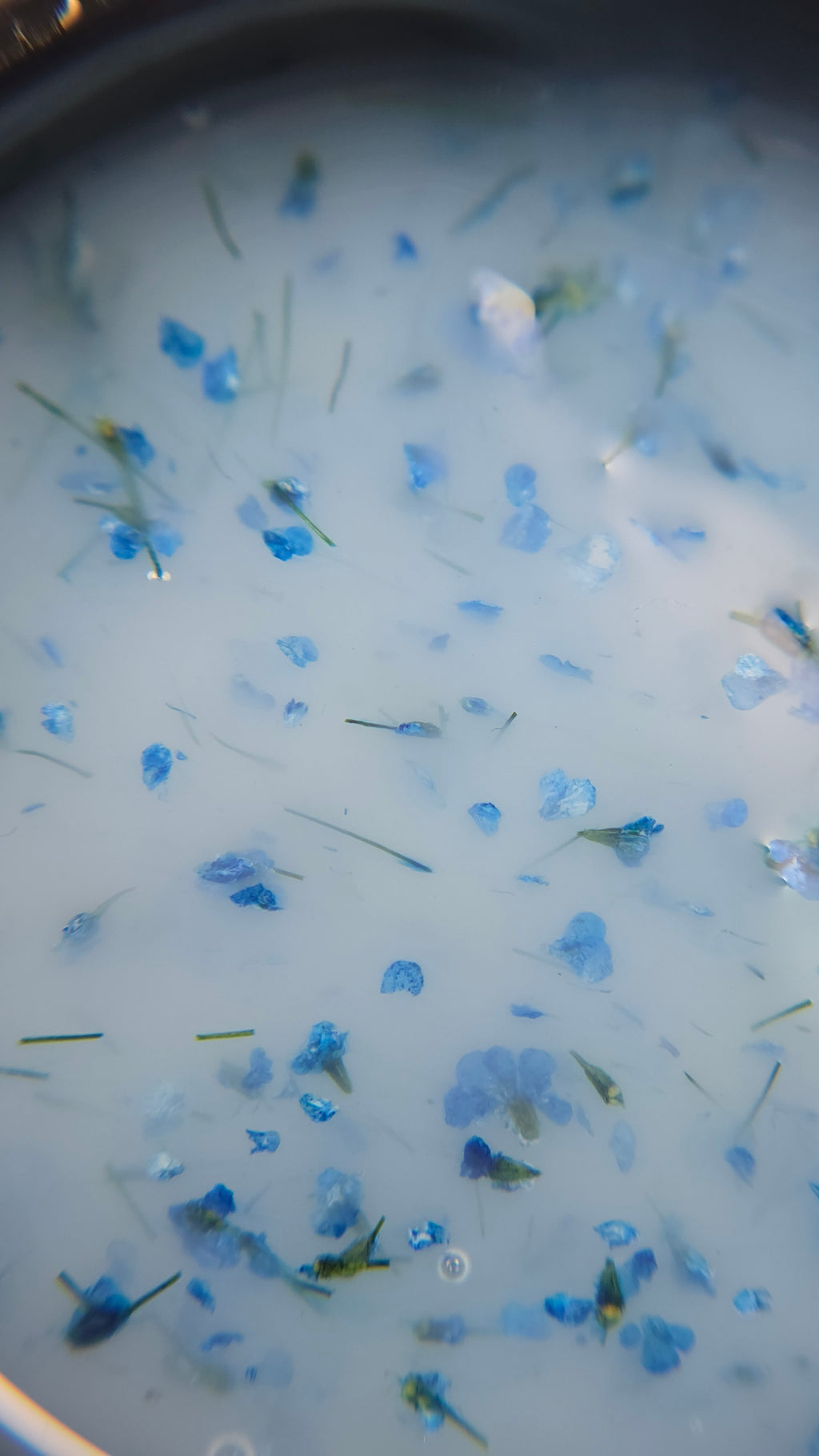 Dried Flower builder Gel #02