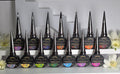 Infinite Love, A Collection of 14 One-Step Colors